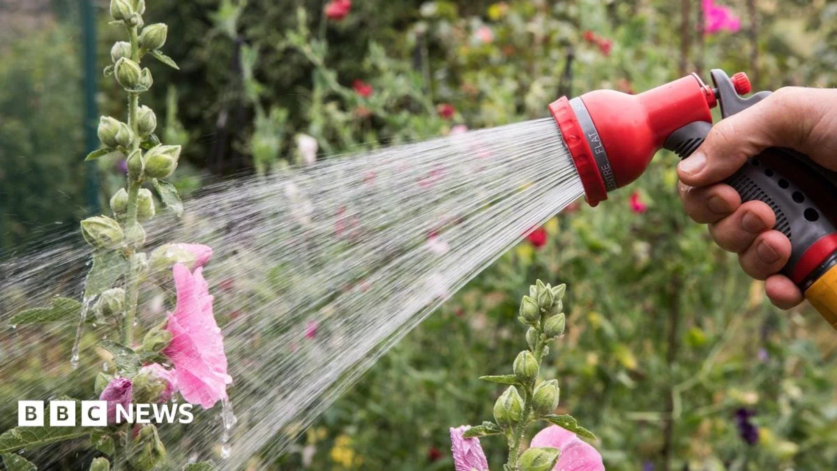 More hosepipe bans in force as drought declared – is your area affected?