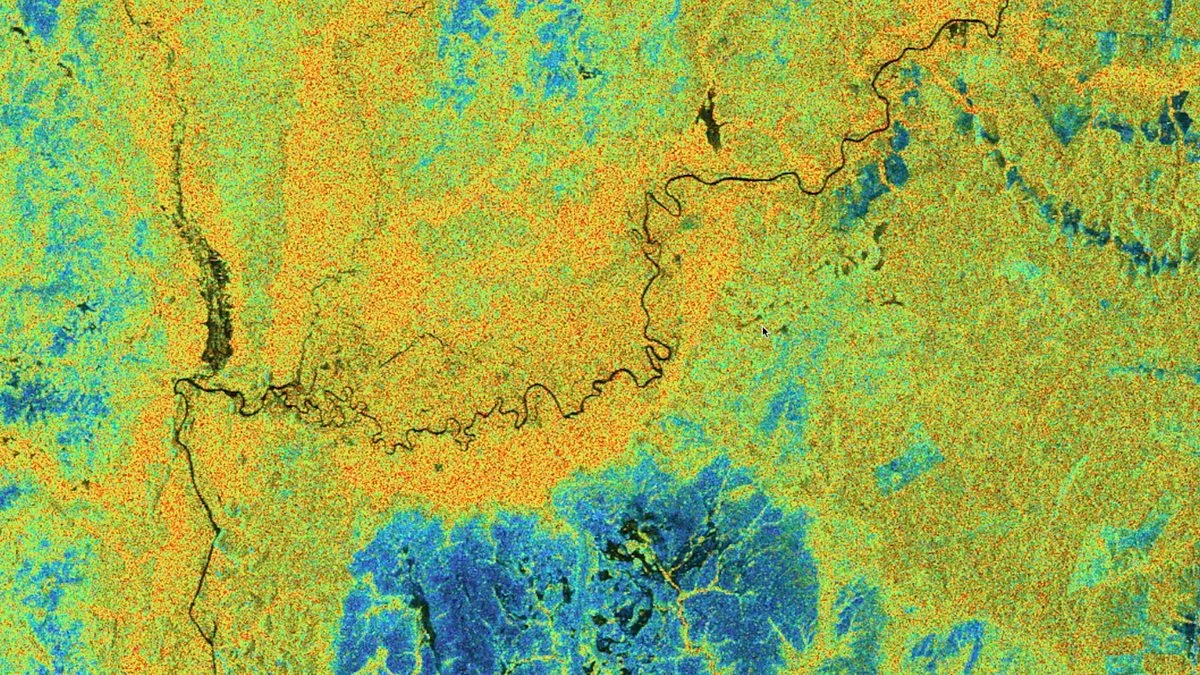 Tech Now – Rainforests: Can Tech Help to Protect Trees?