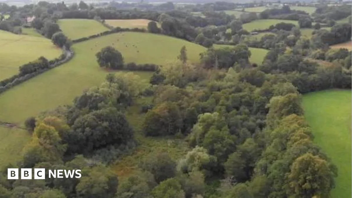 Jackson’s Coppice nature reserve to ‘double in size’