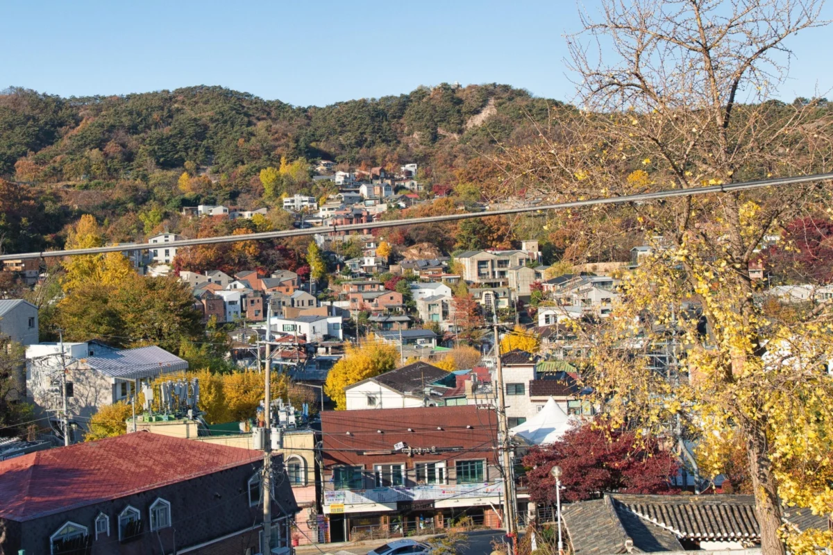When a beloved tree began withering away, locals suspected a killer in their midst.