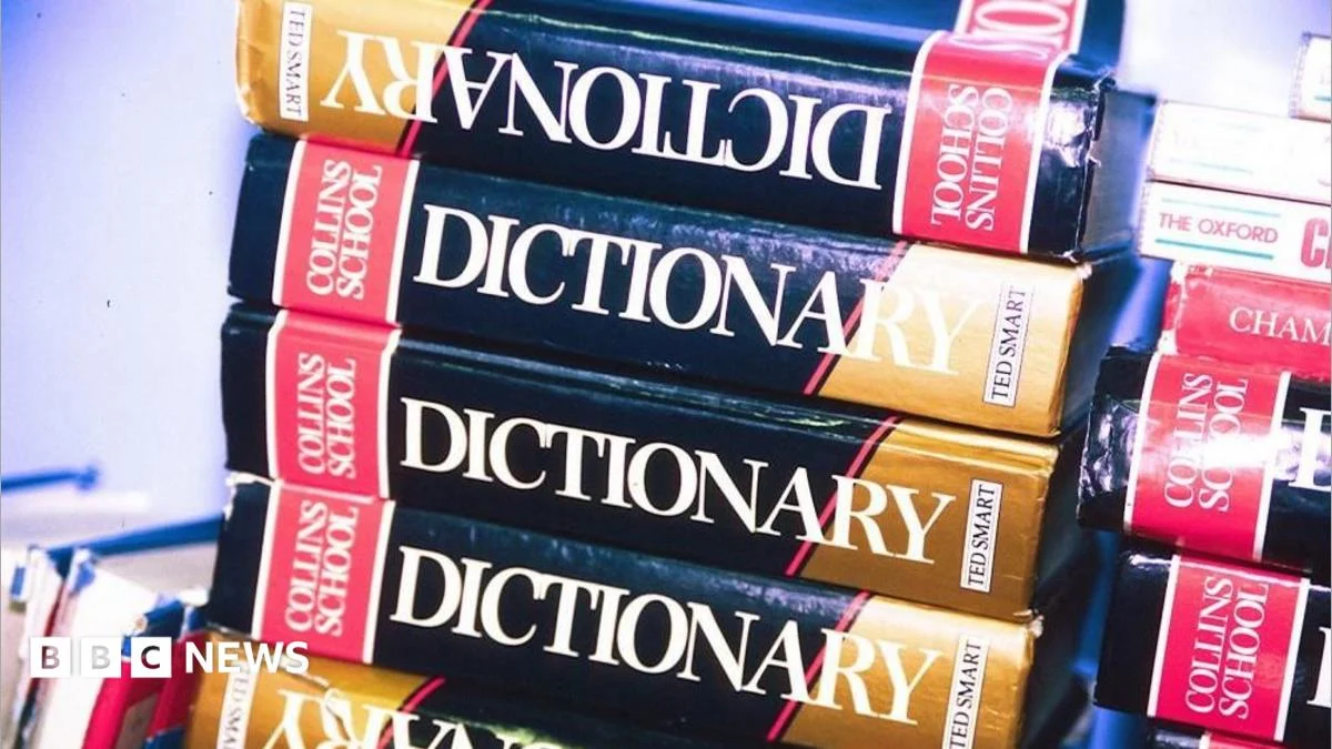 Maxxing selected as Dictionary.com word of the year.